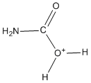 sketch of Carbamic acid, O-protonated