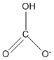 sketch of bicarbonate anion