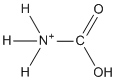 sketch of protonated Carbamic acid